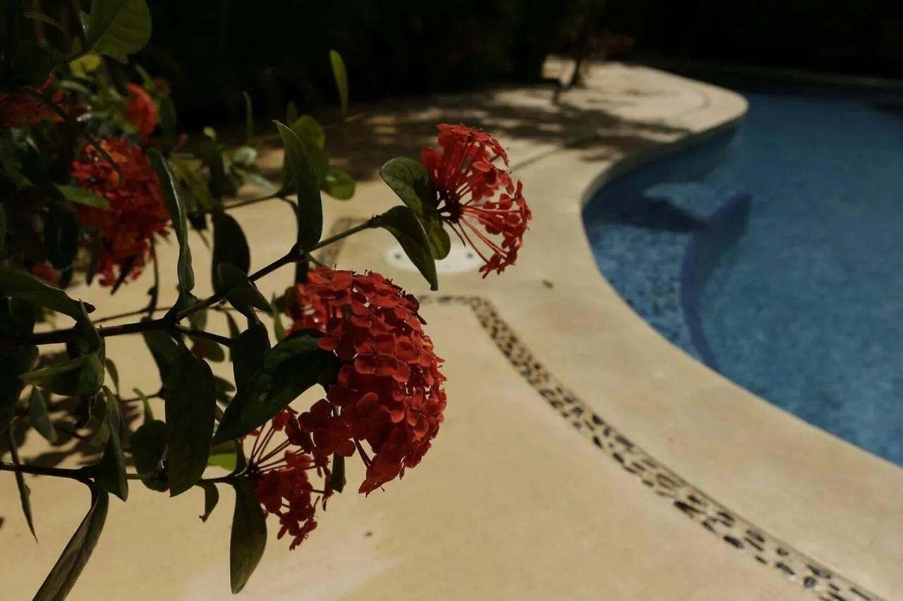 Aldea Zama Luxury Apartment- By Yeah! Tulum Mexico